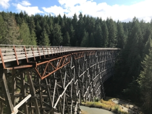 train trestle with forest behind it