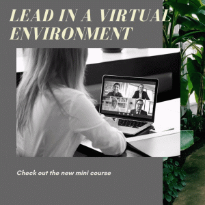 Lead in a virtual environment 